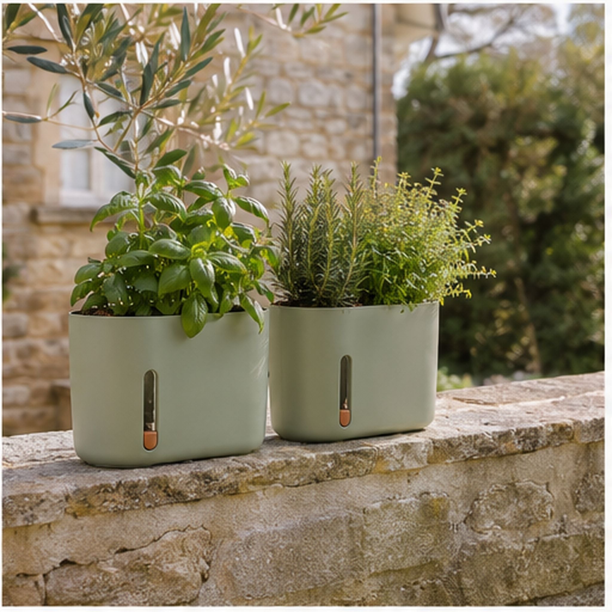 RootWindow Duo – Lot de deux pots auto-arrosants avec fenêtre racinaire